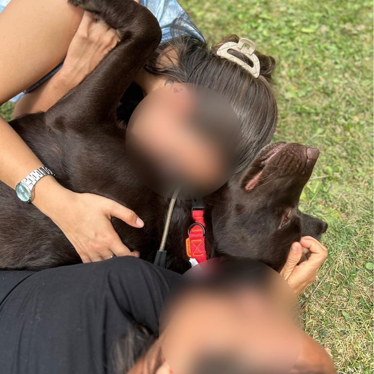 CANAE.PERROS DE TERAPIA Y APOYO EMOCIONAL