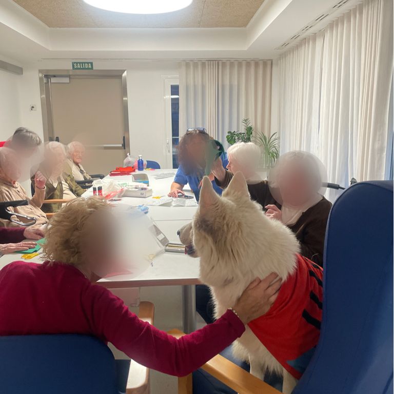 CANAE TERAPIAS CON PERRO
